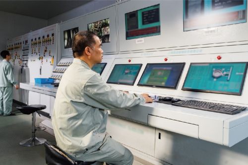 綠色技改賦能制造業轉型 書寫“雙碳”戰略重慶答卷的信息技術咨詢服務